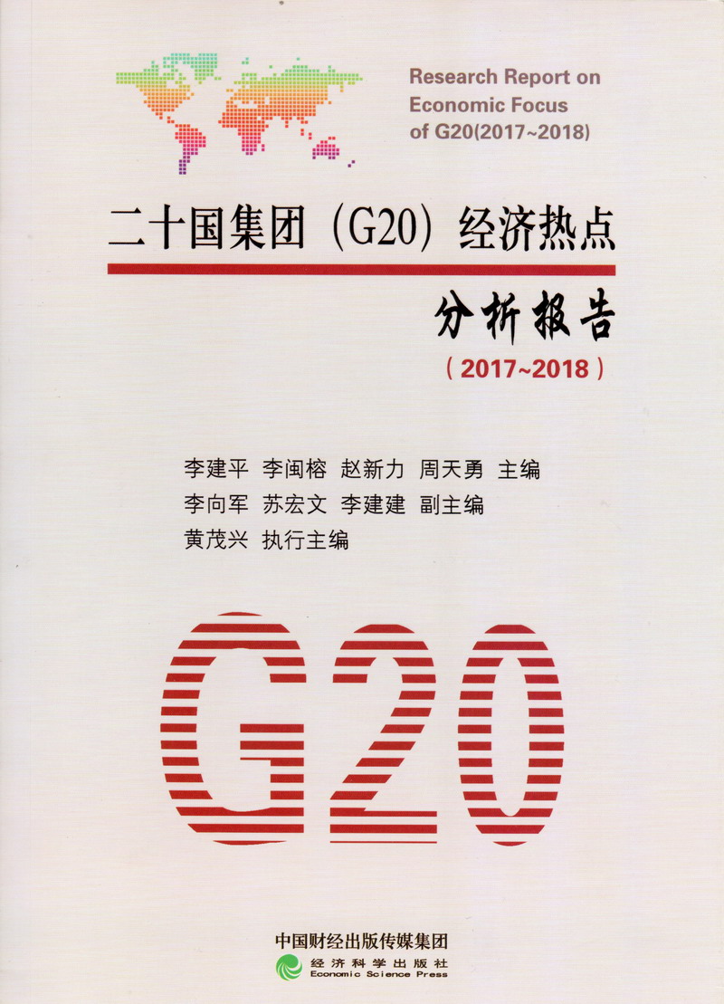 女生艹逼网站二十国集团（G20）经济热点分析报告（2017-2018）